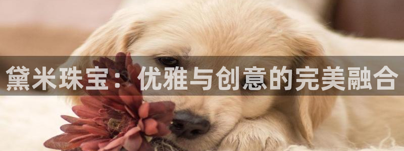 新宝5网址