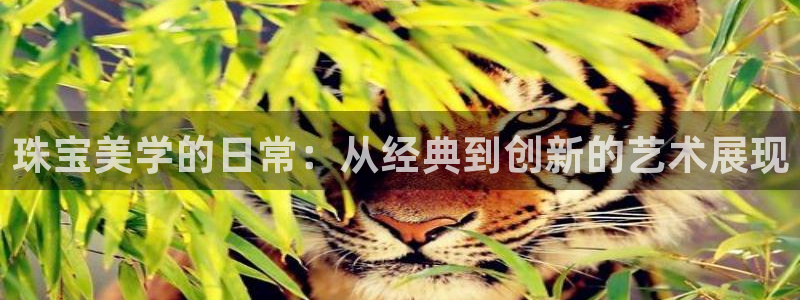 新宝5浗维33 300：珠宝美学的日常：从经典到创新的艺术展现