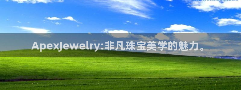 新宝5官网app