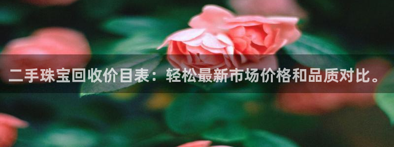 新宝注5册：二手珠宝回收价目表：轻松最新市场价格和品质对比。