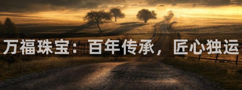 新宝3得74OO5：万福珠宝：百年传承，匠心独运