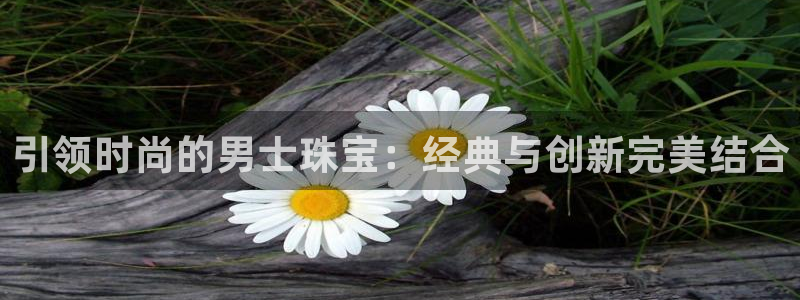 新宝5app手机下载：引领时尚的男士珠宝：经典与创新完美结合