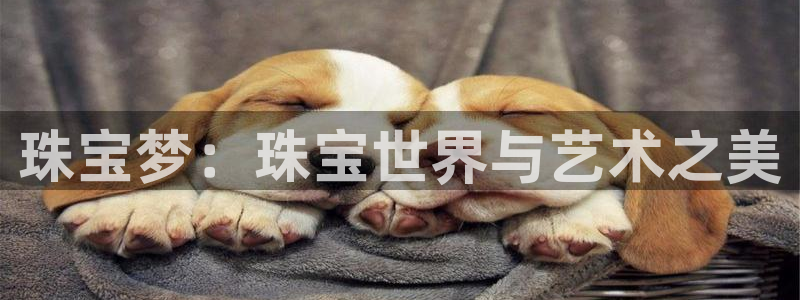 新宝5挂机软件：珠宝梦：珠宝世界与艺术之美