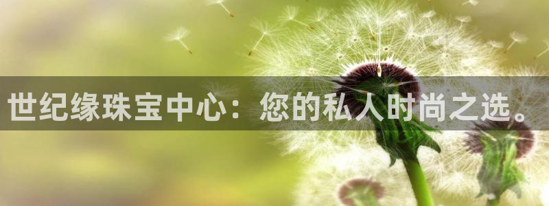 新宝5挂机软件：世纪缘珠宝中心：您的私人时尚之选。