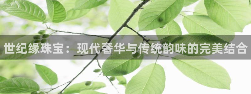 新宝5登录平台：世纪缘珠宝：现代奢华与传统韵味的完美结合