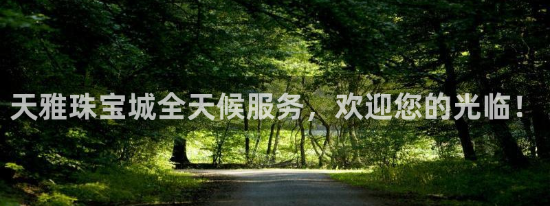 新宝5彩票平台登陆：天雅珠宝城全天候服务，欢迎您的光临！