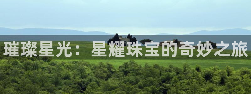 新宝5地址：璀璨星光：星耀珠宝的奇妙之旅
