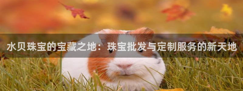 新宝 5测速：水贝珠宝的宝藏之地：珠宝批发与定制服务的新天地
