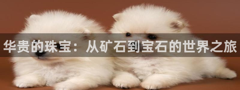 新宝5尤74OOO5：华贵的珠宝：从矿石到宝石的世界之旅