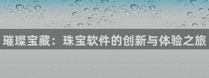 新宝5 代理：璀璨宝藏：珠宝软件的创新与体验之旅