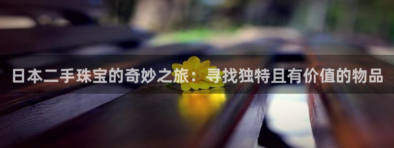 新宝5 代理：日本二手珠宝的奇妙之旅：寻找独特且有价值的物品