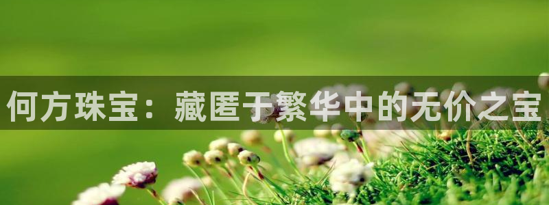新宝5飞355051：何方珠宝：藏匿于繁华中的无价之宝