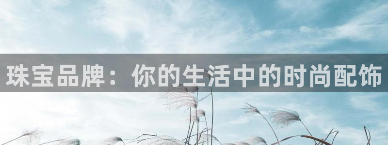 新宝rm5：珠宝品牌：你的生活中的时尚配饰
