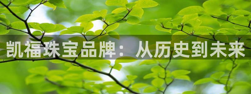 新宝5官网67五壹叁八：凯福珠宝品牌：从历史到未来