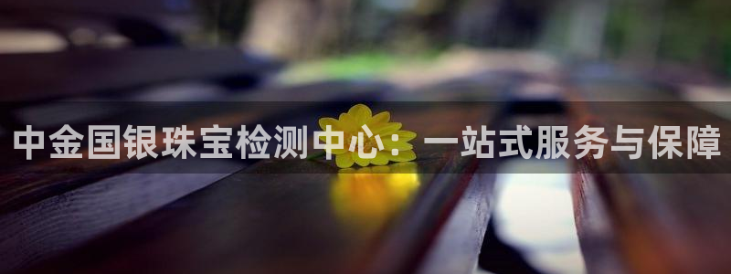 菲律宾新宝5老板：中金国银珠宝检测中心：一站式服务与保障