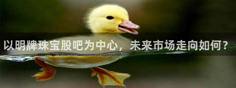 新宝h2O5O5O：以明牌珠宝股吧为中心，未来市场走向如何？