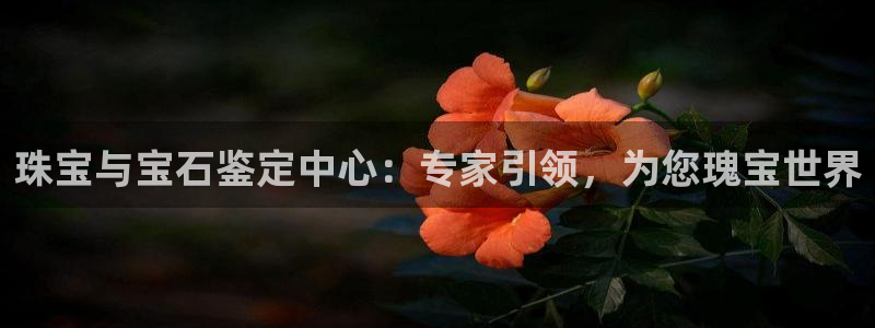 新宝5分彩：珠宝与宝石鉴定中心：专家引领，为您瑰宝世界