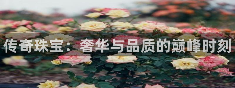 新宝5苹果手机下载：传奇珠宝：奢华与品质的巅峰时刻