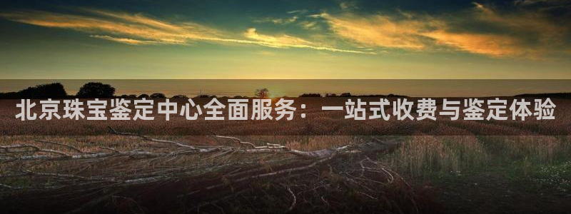 新宝3得74OO5：北京珠宝鉴定中心全面服务：一站式收费与鉴定体验