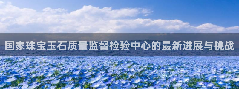 新宝5是什么：国家珠宝玉石质量监督检验中心的最新进展与挑战