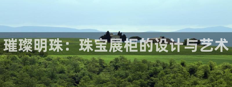 新宝5吕74OOO5：璀璨明珠：珠宝展柜的设计与艺术