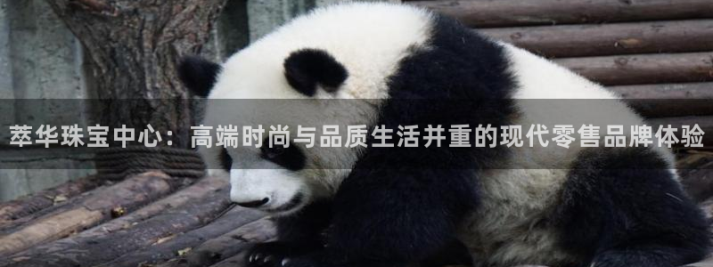 新宝3得74OO5：萃华珠宝中心：高端时尚与品质生活并重的现代零售品牌体验
