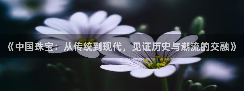 新5宝：《中国珠宝：从传统到现代，见证历史与潮流的交融》