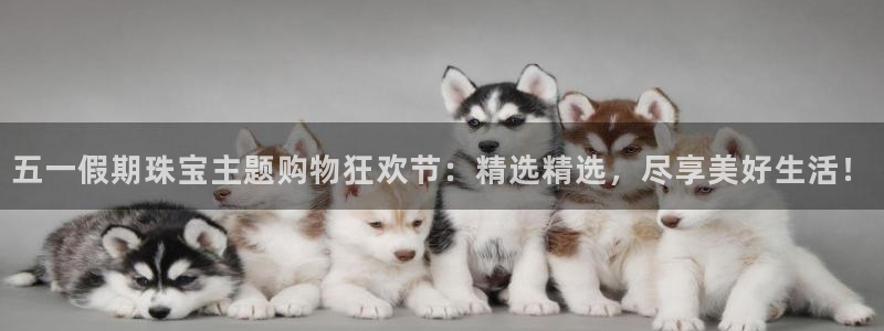 新宝5娱乐学：五一假期珠宝主题购物狂欢节：精选精选，尽享美好生活！