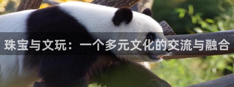 新宝 5测速：珠宝与文玩：一个多元文化的交流与融合