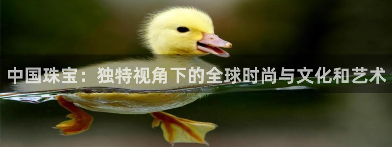 新宝5登录测速中心：中国珠宝：独特视角下的全球时尚与文化和艺术